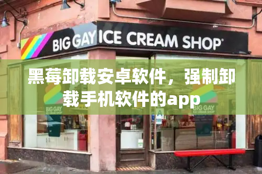黑莓卸载安卓软件，强制卸载手机软件的app