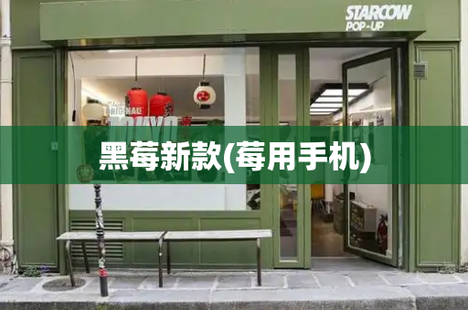 黑莓新款(莓用手机)-第1张图片-星选测评