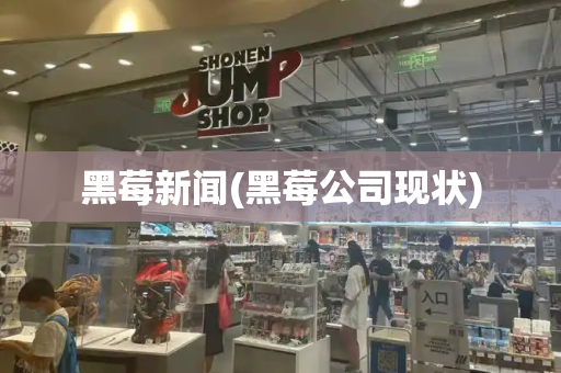 黑莓新闻(黑莓公司现状)-第1张图片-星选测评