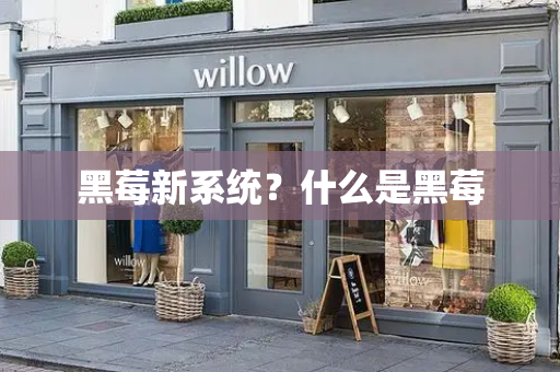 黑莓新系统？什么是黑莓-第1张图片-星选测评