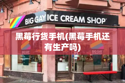 黑莓行货手机(黑莓手机还有生产吗)