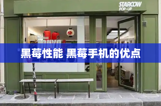 黑莓性能 黑莓手机的优点-第1张图片-星选测评