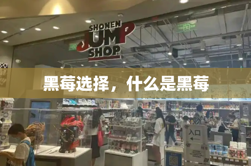 黑莓选择，什么是黑莓-第1张图片-星选测评