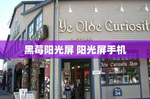 黑莓阳光屏 阳光屏手机-第1张图片-星选测评