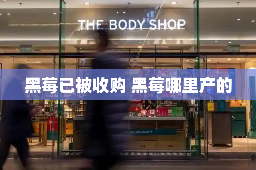 黑莓已被收购 黑莓哪里产的