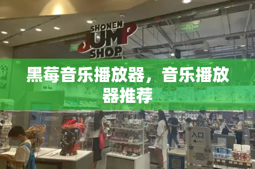 黑莓音乐播放器，音乐播放器推荐