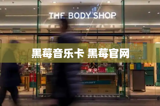 黑莓音乐卡 黑莓官网-第1张图片-星选测评