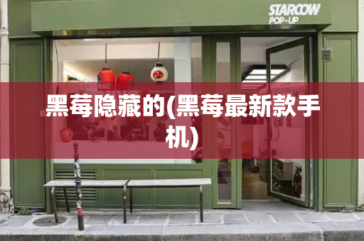 黑莓隐藏的(黑莓最新款手机)