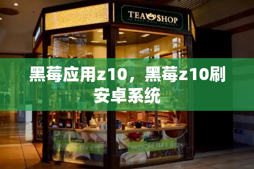 黑莓应用z10，黑莓z10刷安卓系统-第1张图片-星选测评