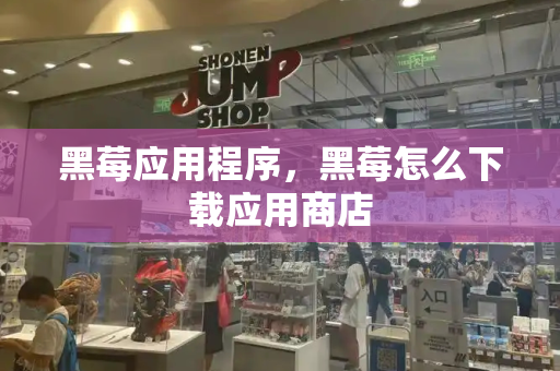 黑莓应用程序，黑莓怎么下载应用商店