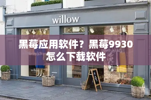 黑莓应用软件？黑莓9930怎么下载软件-第1张图片-星选测评