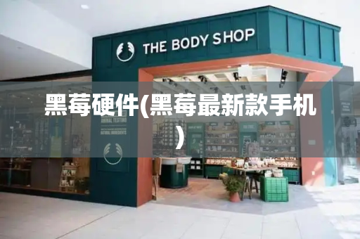 黑莓硬件(黑莓最新款手机)-第1张图片-星选测评