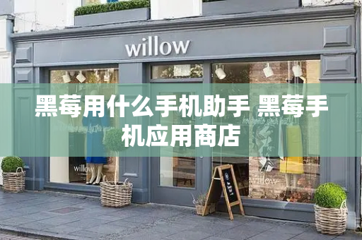 黑莓用什么手机助手 黑莓手机应用商店