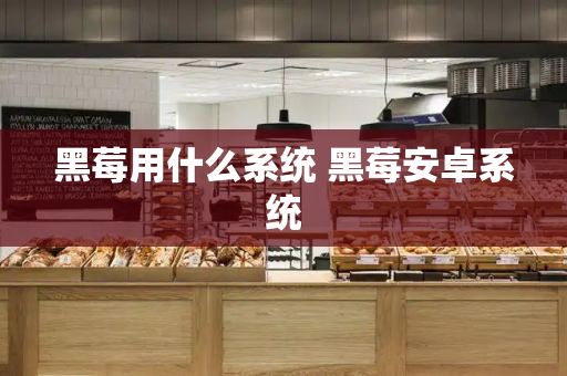 黑莓用什么系统 黑莓安卓系统-第1张图片-星选测评