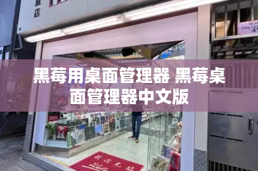 黑莓用桌面管理器 黑莓桌面管理器中文版