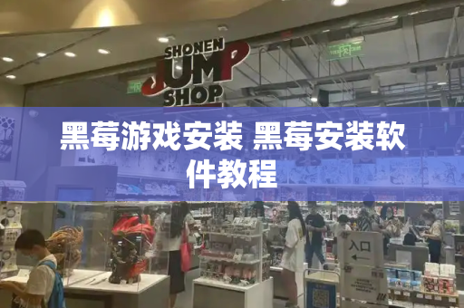 黑莓游戏安装 黑莓安装软件教程