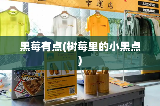 黑莓有点(树莓里的小黑点)