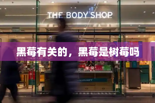 黑莓有关的，黑莓是树莓吗