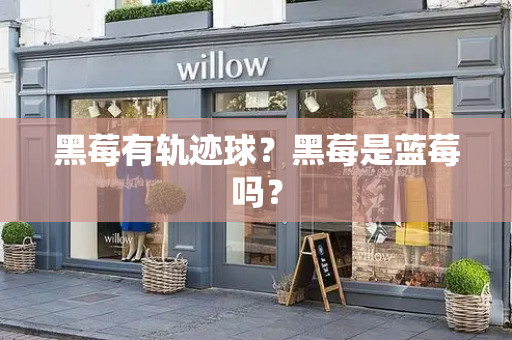 黑莓有轨迹球？黑莓是蓝莓吗？