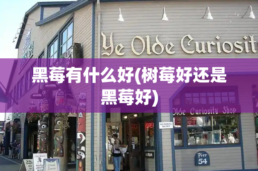 黑莓有什么好(树莓好还是黑莓好)
