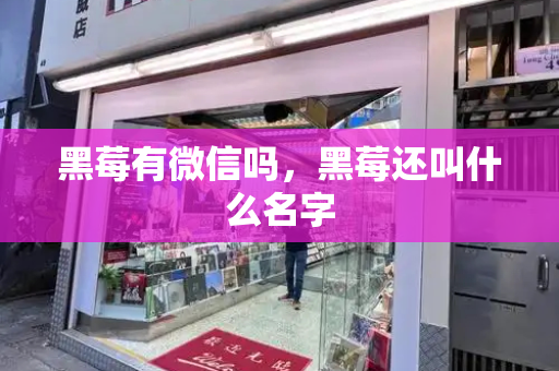 黑莓有微信吗，黑莓还叫什么名字
