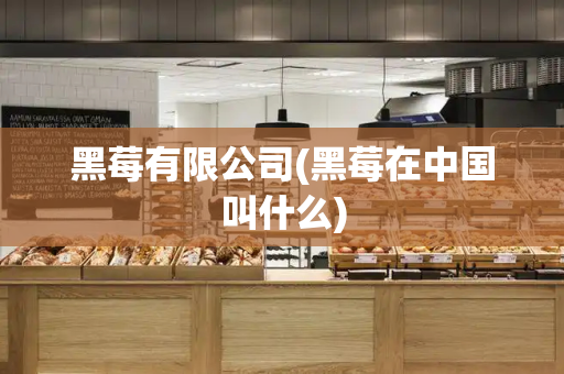 黑莓有限公司(黑莓在中国叫什么)