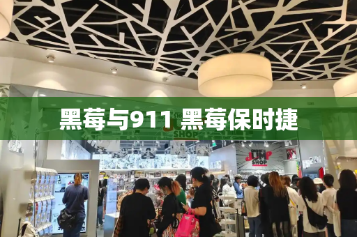 黑莓与911 黑莓保时捷-第1张图片-星选测评