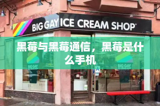 黑莓与黑莓通信，黑莓是什么手机