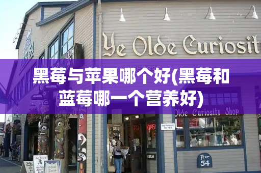 黑莓与苹果哪个好(黑莓和蓝莓哪一个营养好)