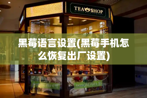 黑莓语言设置(黑莓手机怎么恢复出厂设置)