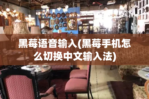 黑莓语音输入(黑莓手机怎么切换中文输入法)