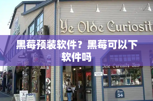 黑莓预装软件？黑莓可以下软件吗