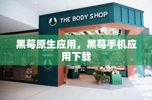 黑莓原生应用，黑莓手机应用下载