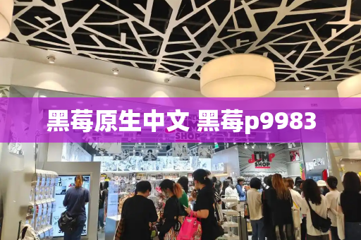 黑莓原生中文 黑莓p9983