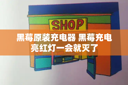 黑莓原装充电器 黑莓充电亮红灯一会就灭了