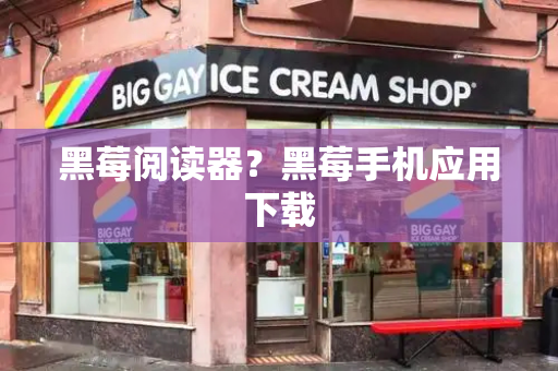 黑莓阅读器？黑莓手机应用下载