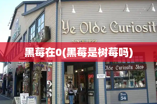 黑莓在0(黑莓是树莓吗)