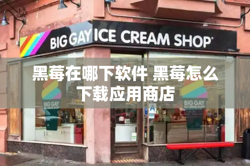 黑莓在哪下软件 黑莓怎么下载应用商店