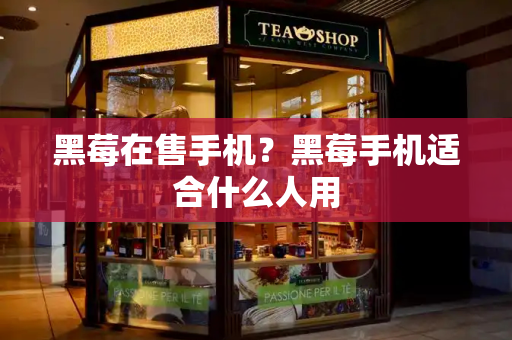 黑莓在售手机？黑莓手机适合什么人用