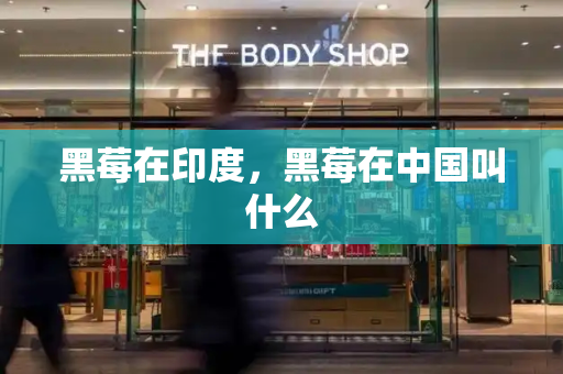 黑莓在印度，黑莓在中国叫什么-第1张图片-星选测评