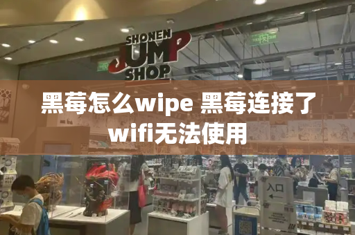 黑莓怎么wipe 黑莓连接了wifi无法使用