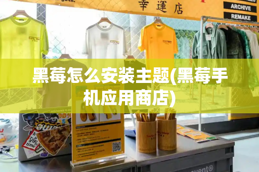 黑莓怎么安装主题(黑莓手机应用商店)-第1张图片-星选测评