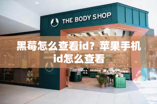 黑莓怎么查看id？苹果手机id怎么查看-第1张图片-星选测评