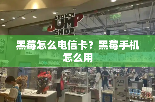 黑莓怎么电信卡？黑莓手机怎么用-第1张图片-星选测评