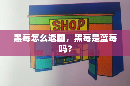 黑莓怎么返回，黑莓是蓝莓吗？