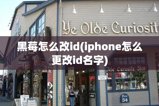 黑莓怎么改id(iphone怎么更改id名字)