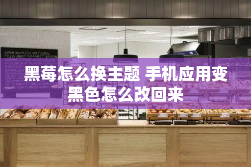 黑莓怎么换主题 手机应用变黑色怎么改回来