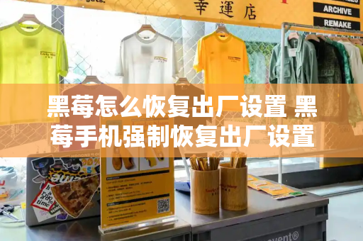 黑莓怎么恢复出厂设置 黑莓手机强制恢复出厂设置-第1张图片-星选测评