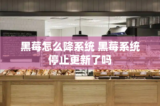 黑莓怎么降系统 黑莓系统停止更新了吗
