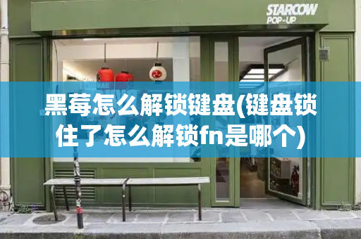 黑莓怎么解锁键盘(键盘锁住了怎么解锁fn是哪个)